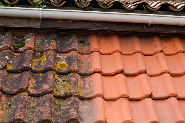 Industrial Roof Cleaning in Owings Mills